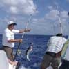 Shared Cozumel Fishing