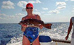 Cancun Bottom Fishing