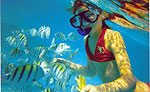 Cancun Snorkeling
