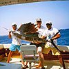 Playa del Carmen Deep Sea Fishing