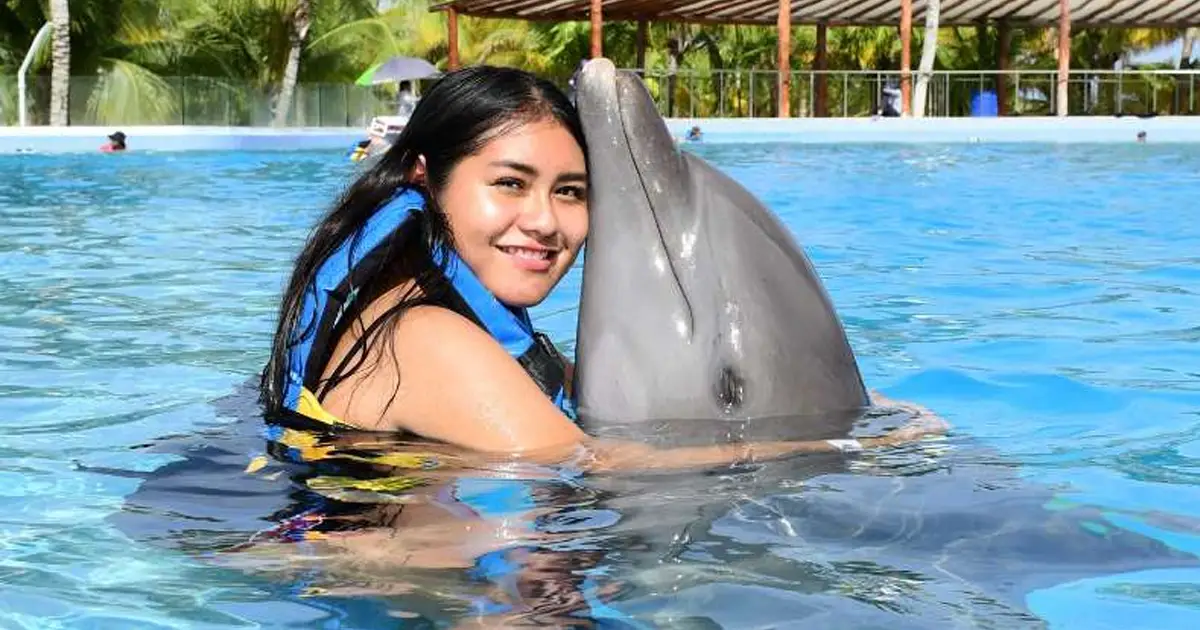 Cozumel Dolphin Swim