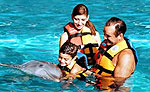 Cozumel Dolphin Encounter