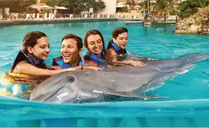Playa del Carmen Dolphin Swim