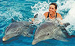 Dolphin Royal Swim - Garrafon