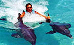 Playa del Carmen Dolphin Swim