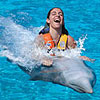 Dolphin Swim Garrafon
