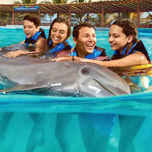 Dolphin Encounter Riviera Maya