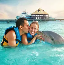 Garrafon Discovery Dolphin Swim