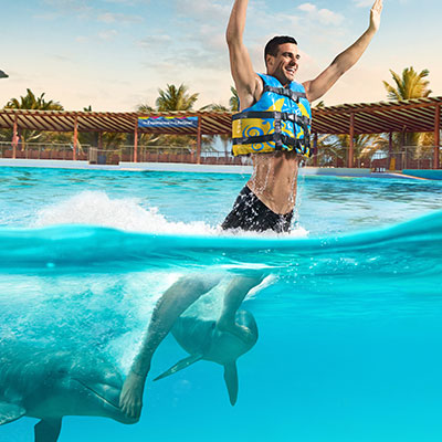 Royal Dolphin Swim Isla Mujeres