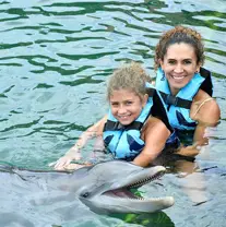 Royal Dolphin Swim Playa del Carmen
