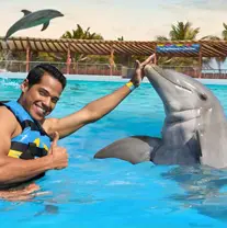 Dolphin Swim Adventure Playa del Carmen