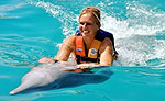 Dolphin Swimming Costa Maya Mahahual