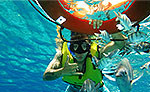 Cheap Snorkeling Tour in Cozumel Mexico