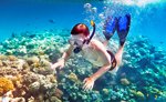 Cozumel Snorkeling coral reef cozumel