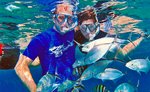 Cozumel Reef Snorkeling Tour