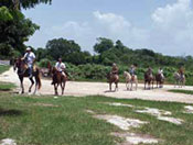 Cozumel Horseback Riding