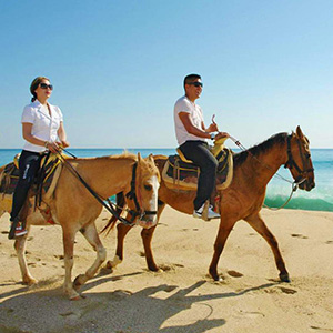 Cancun Horseback Riding