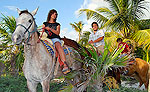 Cancun Horseback Riding