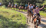 Cozumel Horseback Riding