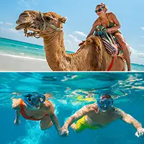 Horseback Riding Tour