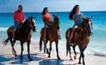 Playa del Carmen Horseback Riding