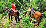 Playa del Carmen Horseback Riding