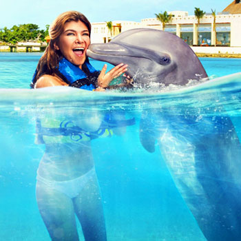Swim with Dolphins Cancun Aquarium