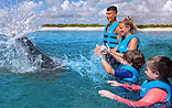 Dolphin Swim Riviera Maya