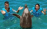 Dolphin Swim Riviera Maya
