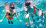 El Meco Snorkeling - Isla Mujeres