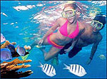 Isla Mujeres Snorkeling