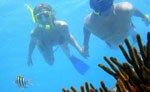 Snorkeling & Wave Runners Playa del Carmen