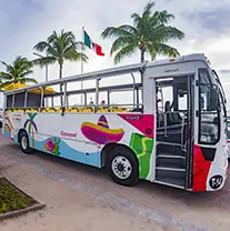 Cozumel Private Jeep Tour 