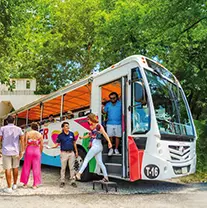 Cozumel Highlights Tour