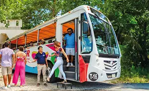 Cozumel Trolley Island Tour