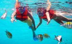 Reef Snorkeling Tour Riviera Maya