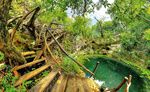 Mayan Cenotes Photo Excursion