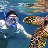 Snorkeling Catamaran Cozumel