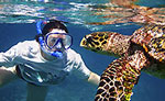 Cozumel Snorkeling Tour