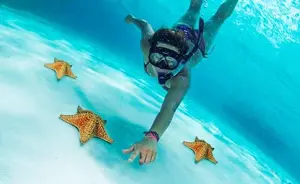 Cozumel Snorkeling Tour