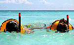 Riviera Maya Snorkeling Excursion