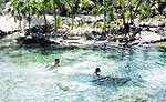 Cenote Snorkeling