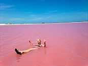 Rio Lagartos Pink Lagoon