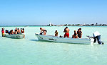 Rio Lagartos Cozumel Excursion