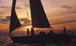 Sunset Sailing