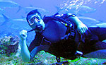 Scuba Diving in Playa del Carmen