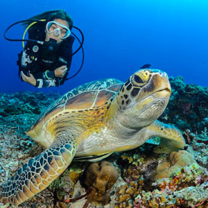 Cozumel Scuba Diving