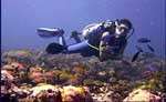 Cozumel Scuba Diving Tour