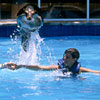 Sea Lion Swim Cancun