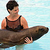 Swimming with Sea Lions